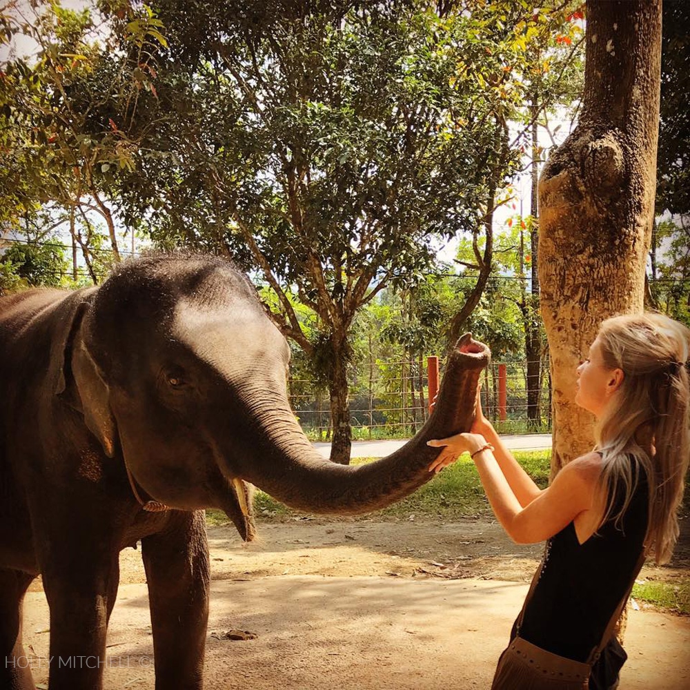 Baby Elephant Koh Chang