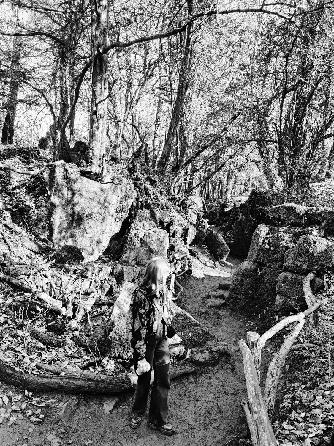 IMG20250301111342 bw