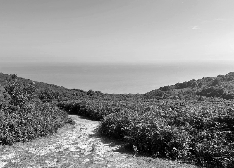 Hastings