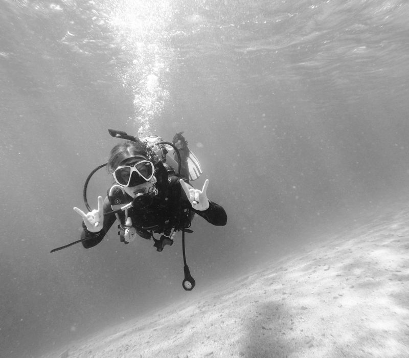 IMG-20250503-WA0082-bw