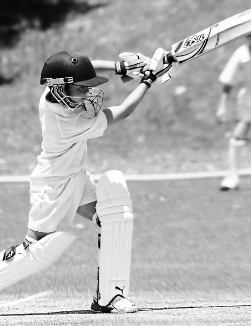 jacks-playing-cricket jacks-playing-cricket